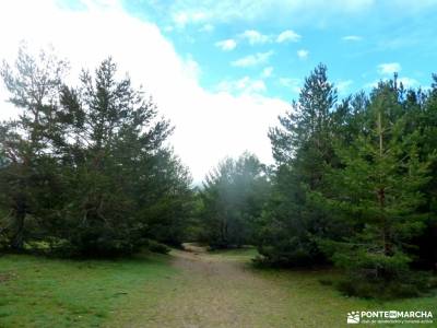 RETO Senderista,Valle Lozoya; senderismo gredos trekking pirineos vías ferratas